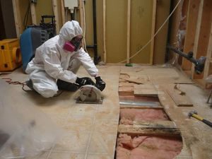 Mold Removal From Basement